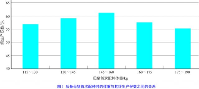 调控后备母猪的体况以获得最佳的繁殖性能[续1]