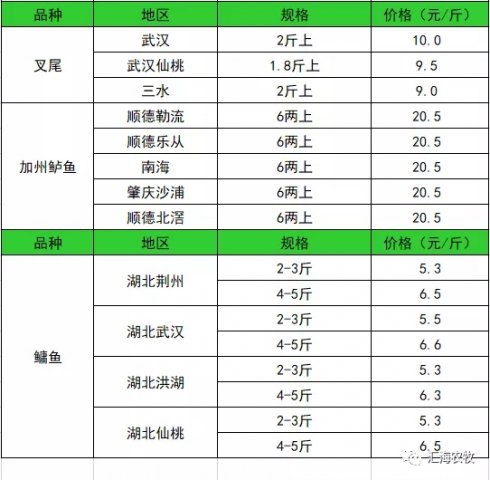 8月23日广东湖北地区叉尾加州鲈鱼鳙鱼塘