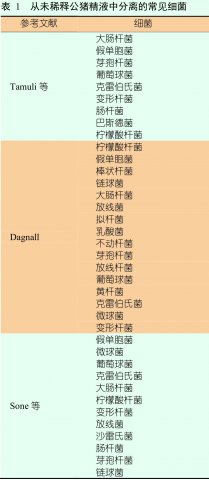细菌性精子症对公猪精子储存和繁殖性能的影响