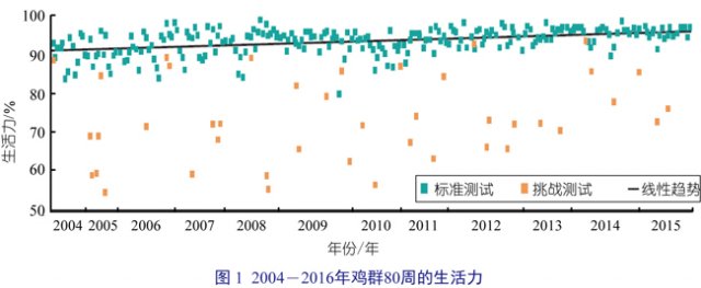 通过育种改良鸡群生活力与生产性能