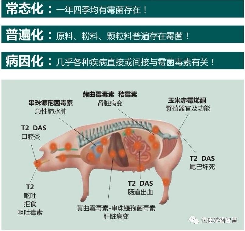 微信图片_20191107164025.jpg