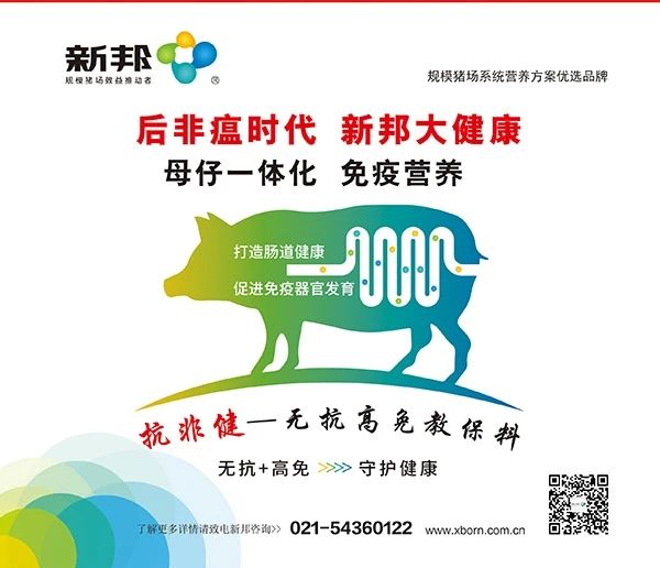 aa封面:上海新邦.jpg