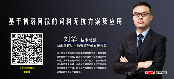 基于博落回散的饲料无抗方案及应用