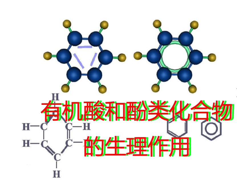 发生肠道疾病后，有机酸和酚类化合物能解救养殖场