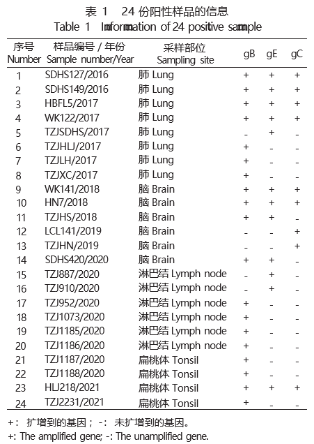 2016～2021 年我国猪伪狂犬病病毒的 分子流行病学调查与分析