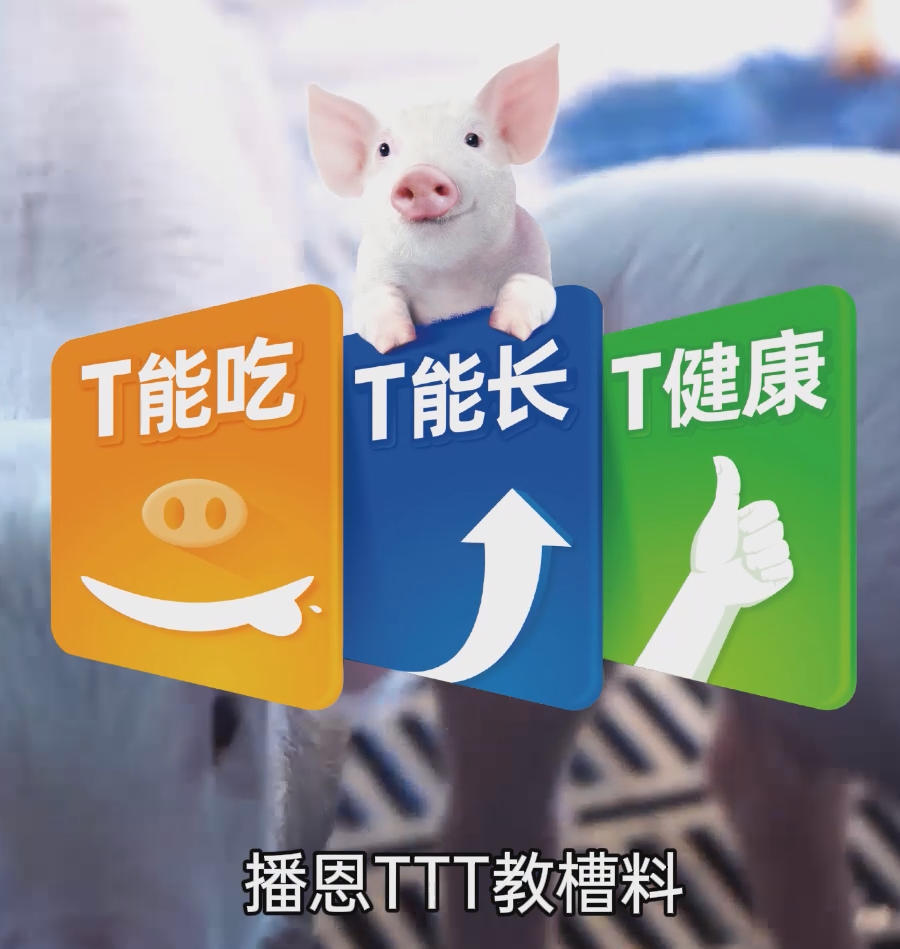 播恩TTT发布.jpg 播恩TTT发布.jpg