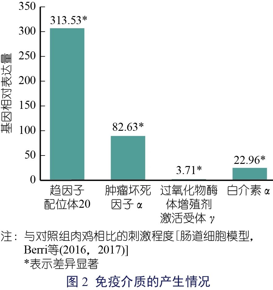 Seaweed(任淑静)-02.jpg