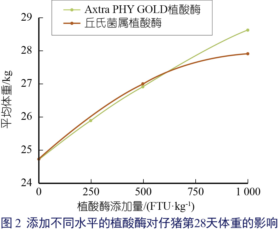Phytase(张相鑫)-02.jpg