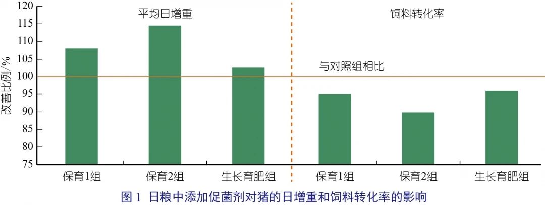 Xylanase（张相鑫 ）-01.jpg