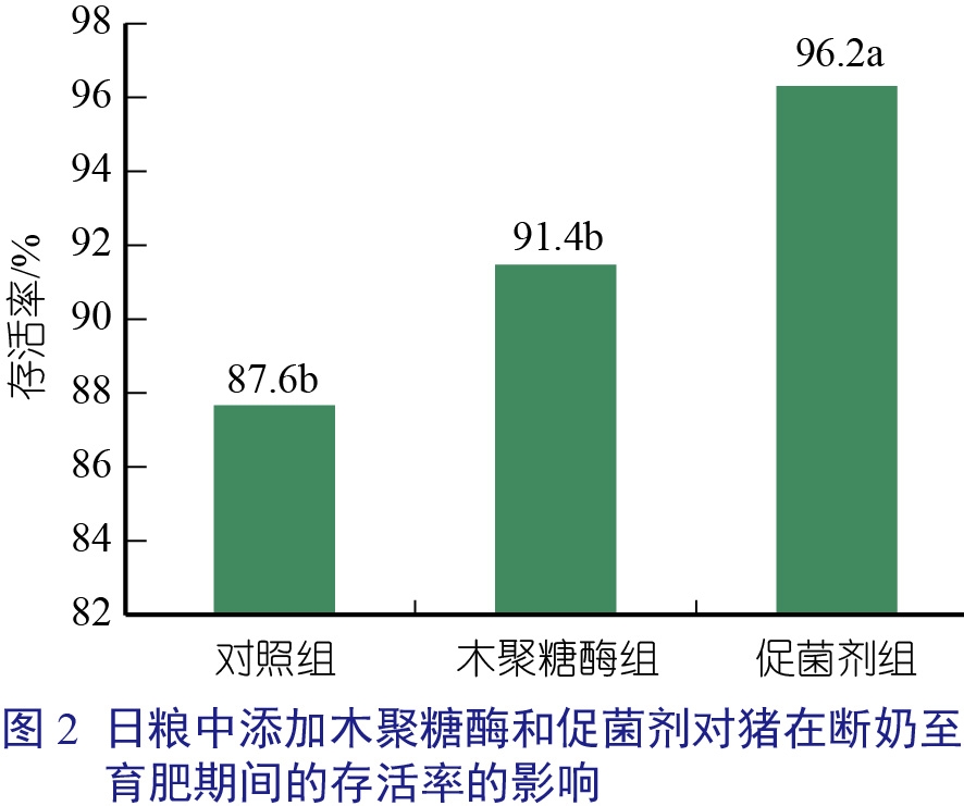 Xylanase（张相鑫 ）-02.jpg