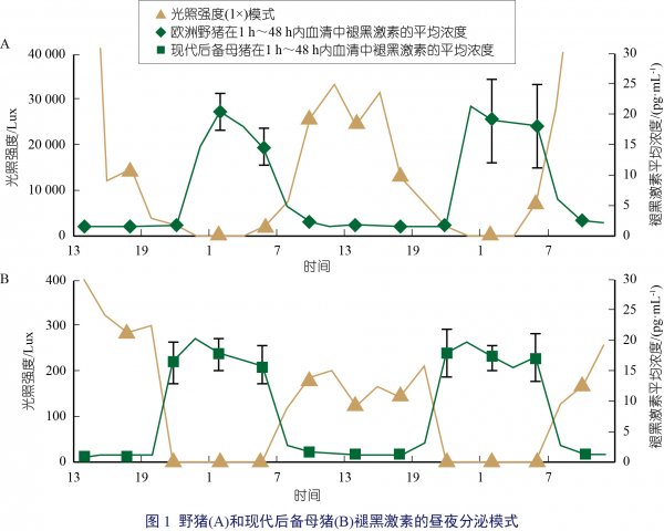 【猪舍光照原则第二季专栏二】不同光照因素对猪的影响