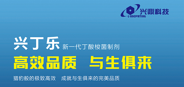 中链脂肪酸甘油三酯在仔猪中的消化吸收及生理功能